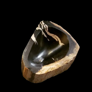 Petrified wood shallow bowls