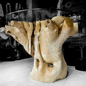 Upside Down Root